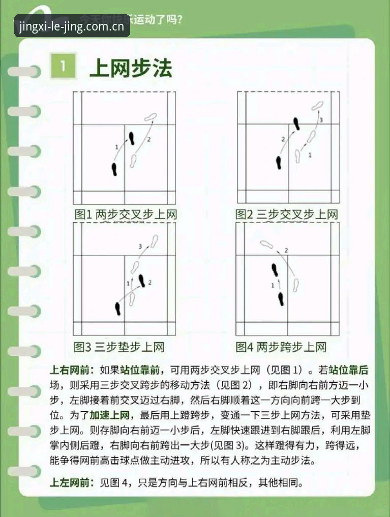 乐竞体育官网使用完整指南：从入门到精通的新手教程