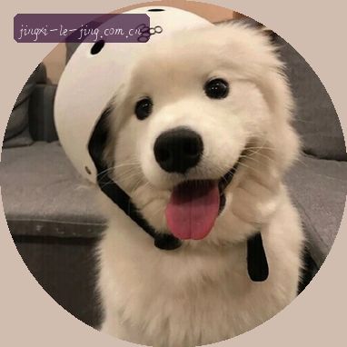 张涛